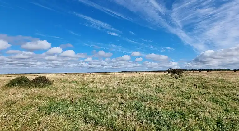 Holiday home in Hemmet