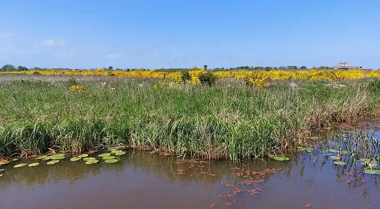 Holiday home in Skaven Strand