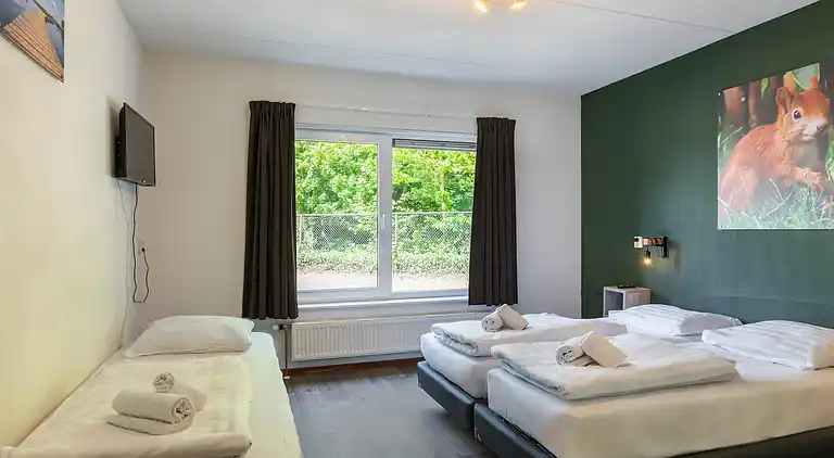 Bungalow in Gasselternijveen