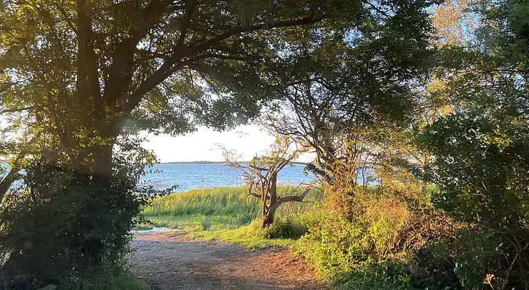 Oplev skøn bugt og natur i smukke Kostræde Banker