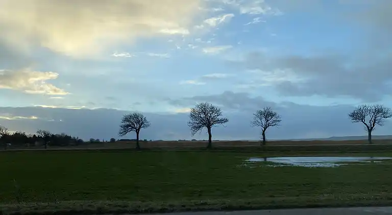 Oplev skøn bugt og natur i smukke Kostræde Banker