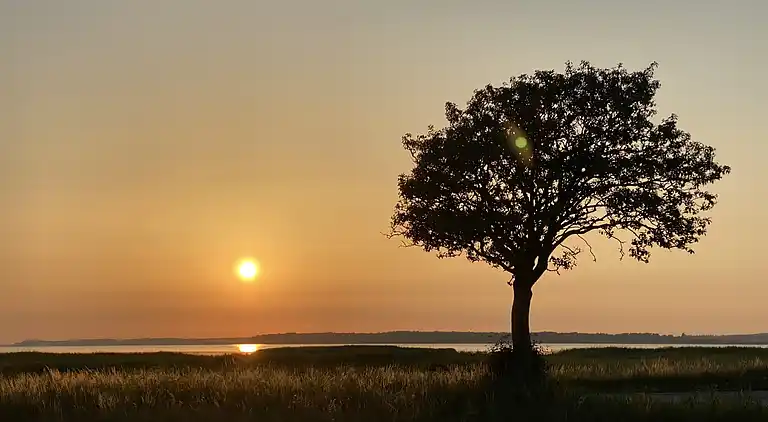 Oplev skøn bugt og natur i smukke Kostræde Banker