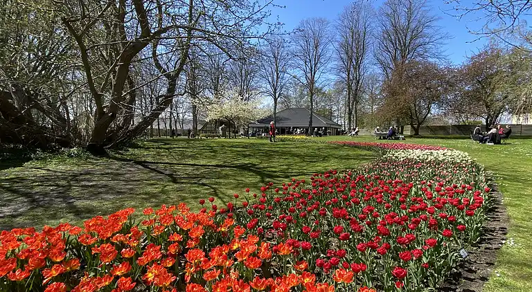 Oplev skøn bugt og natur i smukke Kostræde Banker