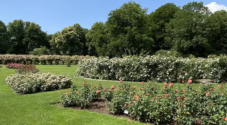 Oplev skøn bugt og natur i smukke Kostræde Banker