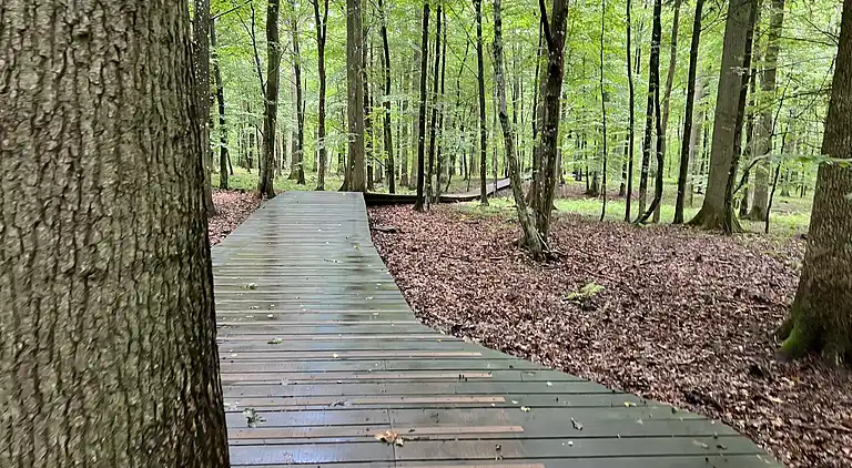 Oplev skøn bugt og natur i smukke Kostræde Banker