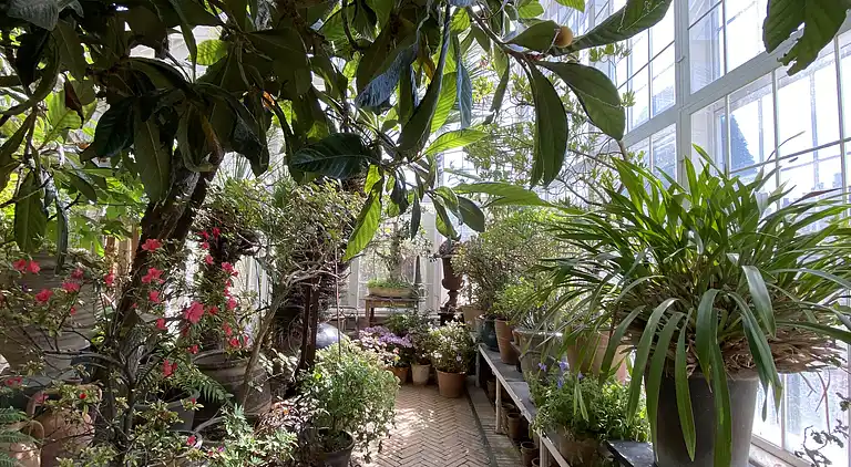 Oplev skøn bugt og natur i smukke Kostræde Banker