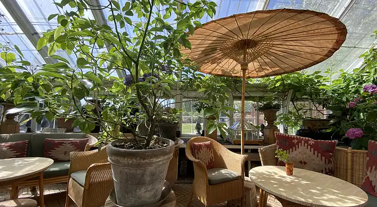 Oplev skøn bugt og natur i smukke Kostræde Banker