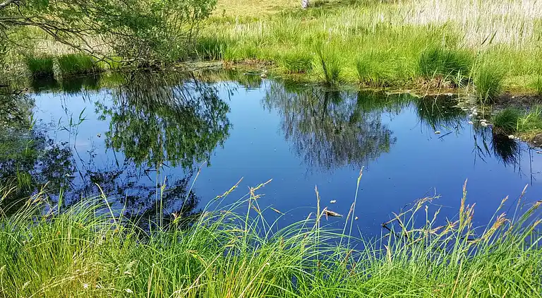 Sommerhus i Tisvilde