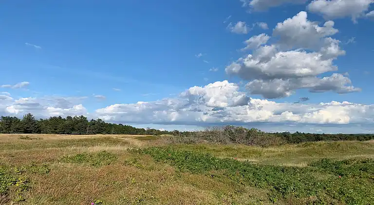 Sommerhus i Tisvilde