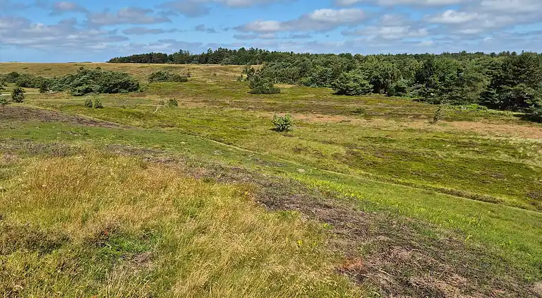 Sommerhus i Tisvilde