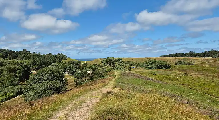 Sommerhus i Tisvilde
