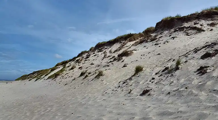 Holiday home in Ringkobing