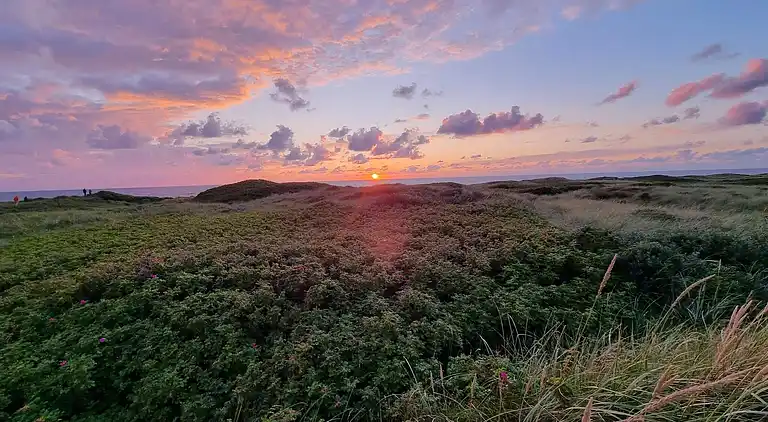 Casa vacanze in Thisted