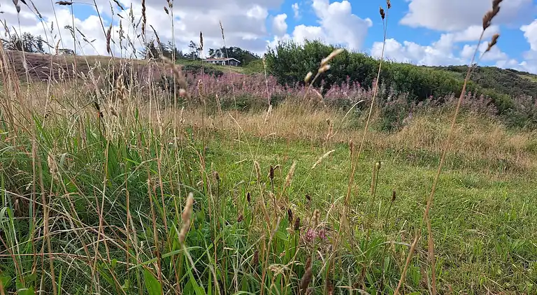 Holiday home in Lemvig