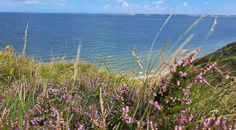 Holiday home in Lemvig