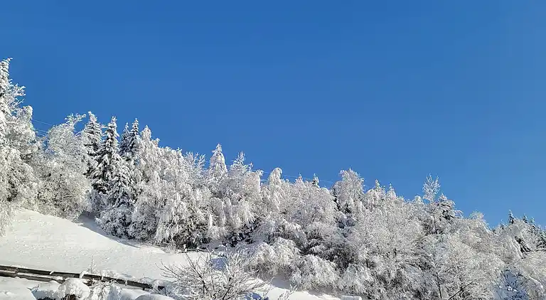 Apartment in Rosental