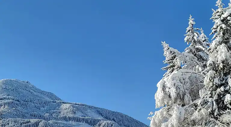 Apartment in Rosental