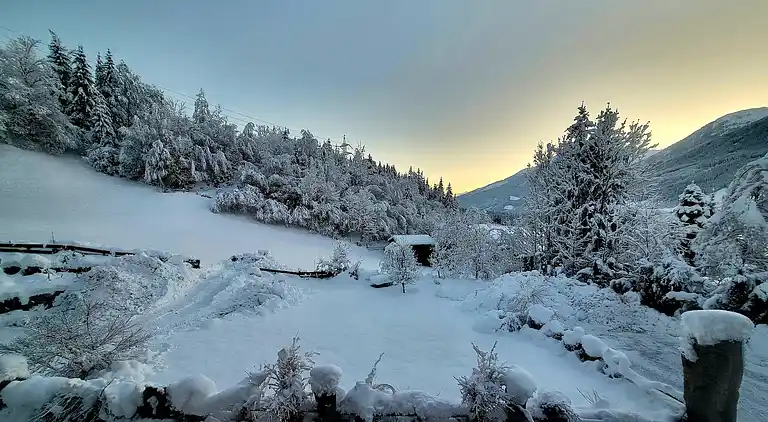 Apartment in Rosental