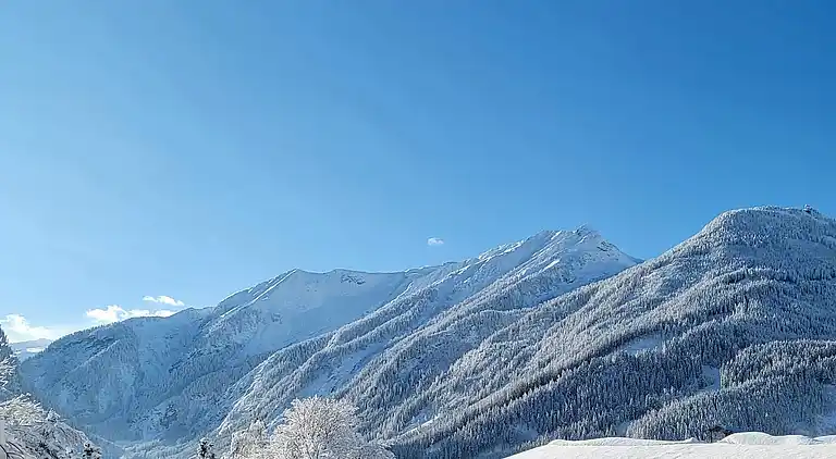 Apartment in Rosental