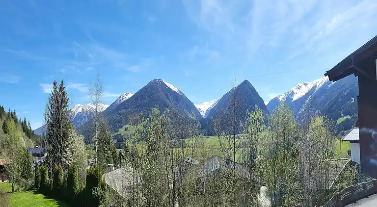 Apartment in Rosental