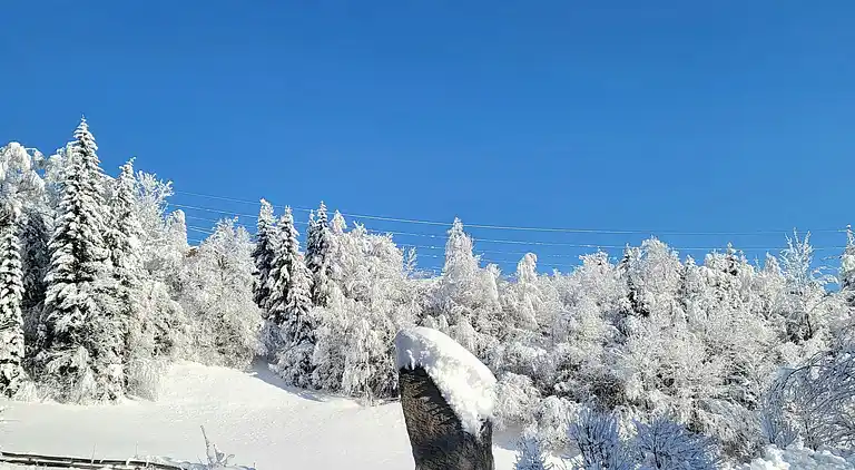 Apartment in Rosental
