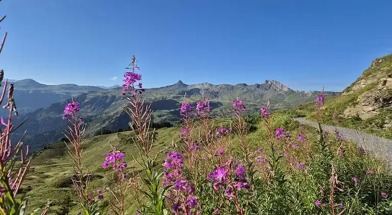 Ferienhaus in Flumserberg Tannenbodenalp