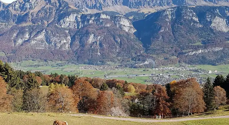 Ferienhaus in Flumserberg Tannenbodenalp