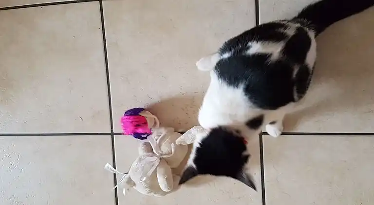 Ferienhaus in Flumserberg Tannenbodenalp