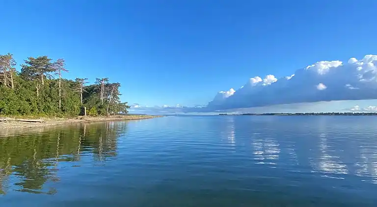 Hyggeligt sommerhus på Tuse Næs i Holbæk