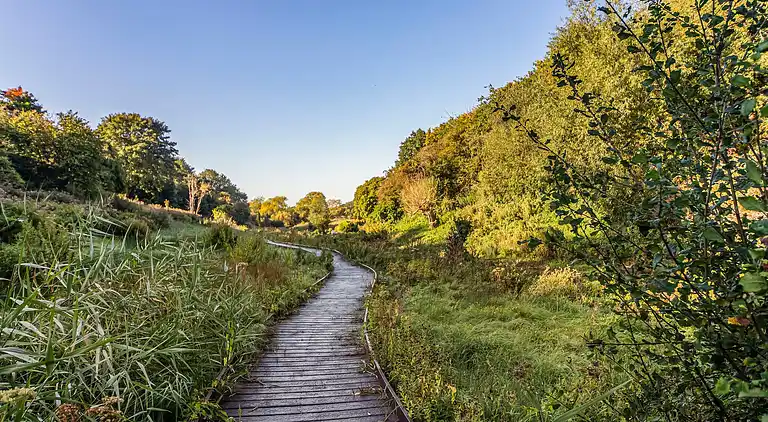 Stilvolles und helles 3-Zimmer-Apartment in Headington,