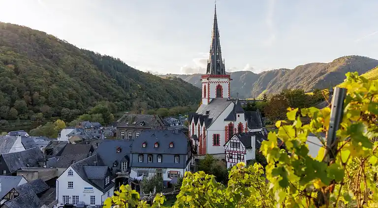 Holiday home in Bremm