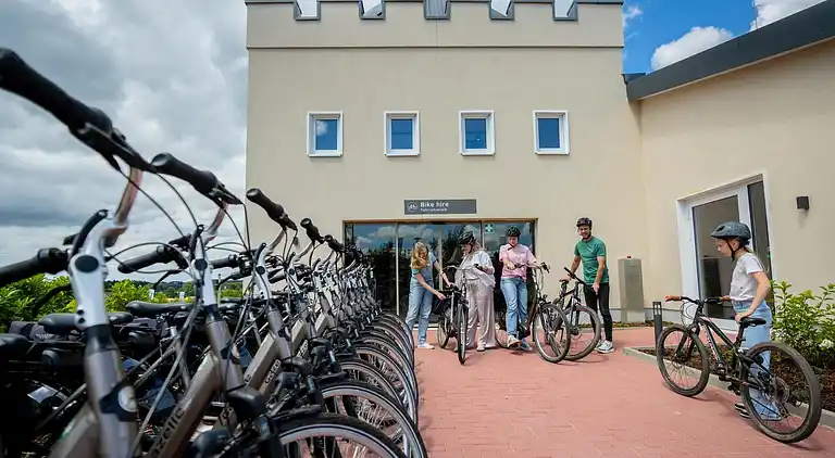 Holiday home in Bremm