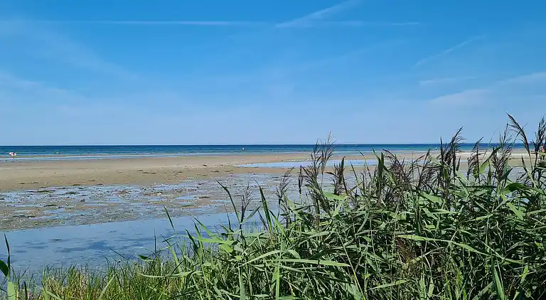 Sommerhus i Allingåbro
