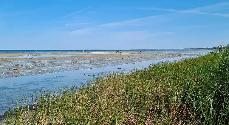 Sommerhus i Allingåbro