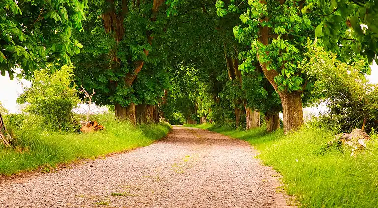 Sommerhus i Rudkøbing