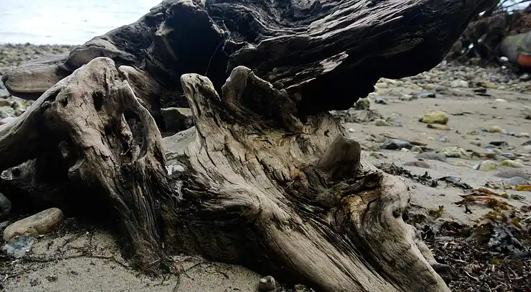 Sommerhus ved Hejlsminde Strand