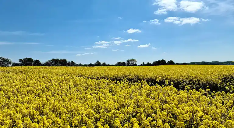 Sommerhus i Sønderborg