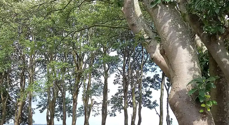 Holiday home in Skovmose