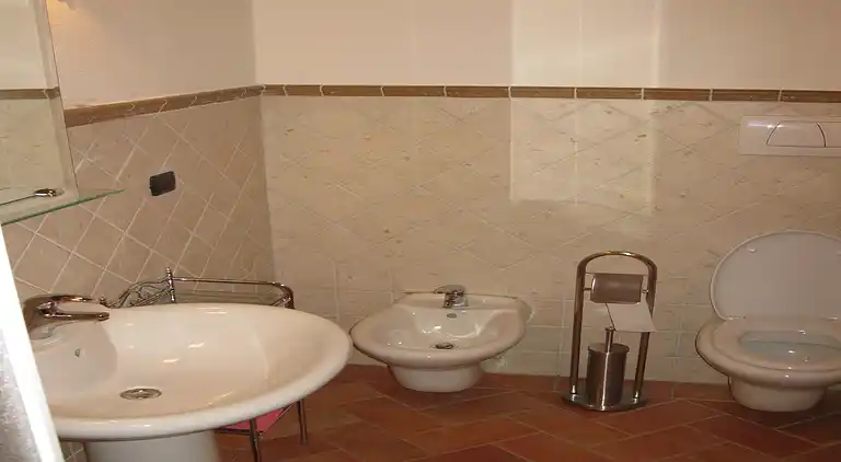 Farm house in Asciano