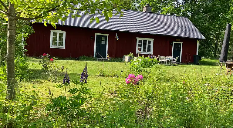 Ødegård i skoven ved større sø