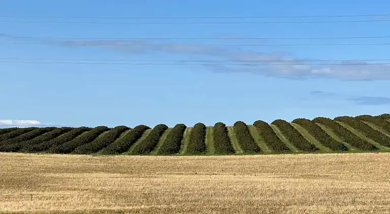 Holiday home in Sjællands Odde