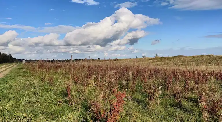 3 room, close to the sea/dike