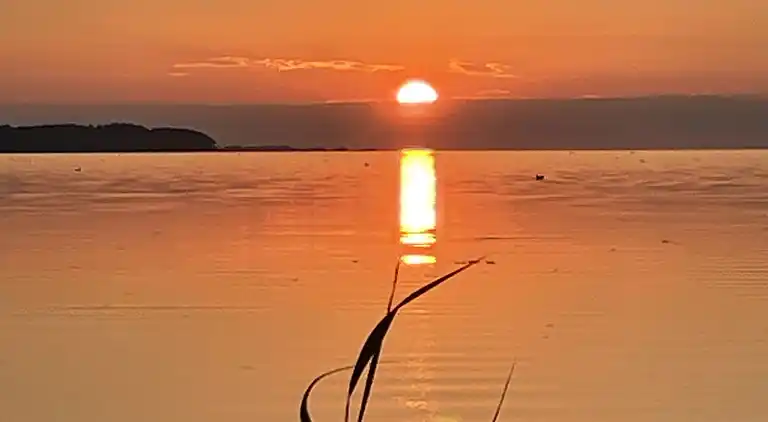 Charmerende sommerhus med stråtag tæt ved vandet