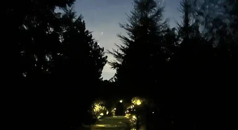 Charmerende sommerhus med stråtag tæt ved vandet