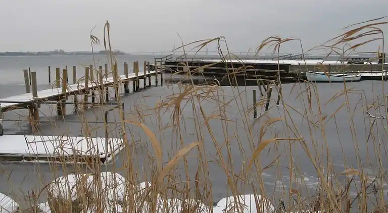 Holiday home in Bogø By
