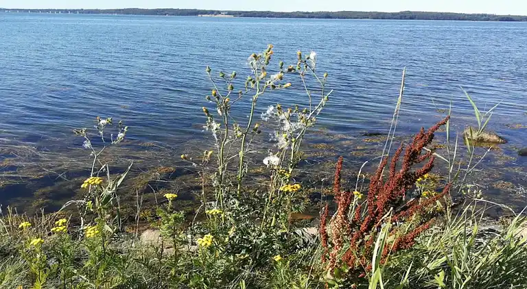 Holiday home in Bogø By