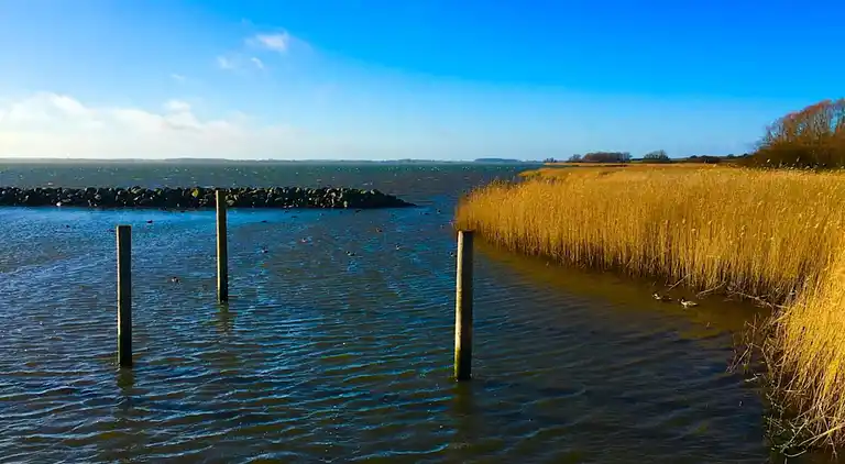 Holiday home in Bogø By
