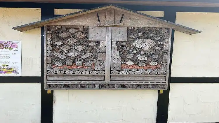 Sommerhus i Eberbach