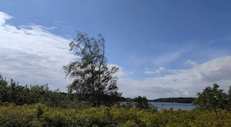 Sommerhus i Svendborg