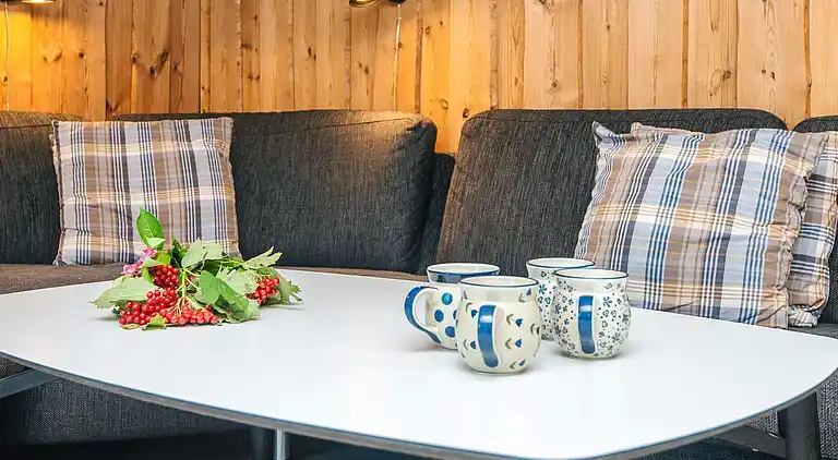 Sommerhus i Bolilmark